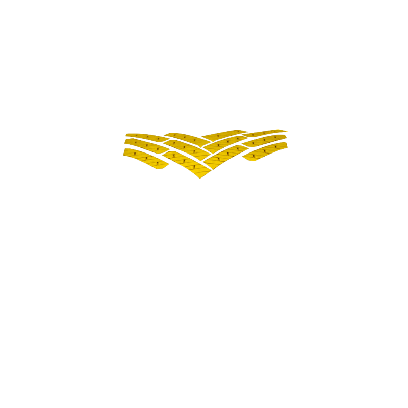 NEUMATICO PIRELLI 205/55R16 91H CINTURATO WINTER