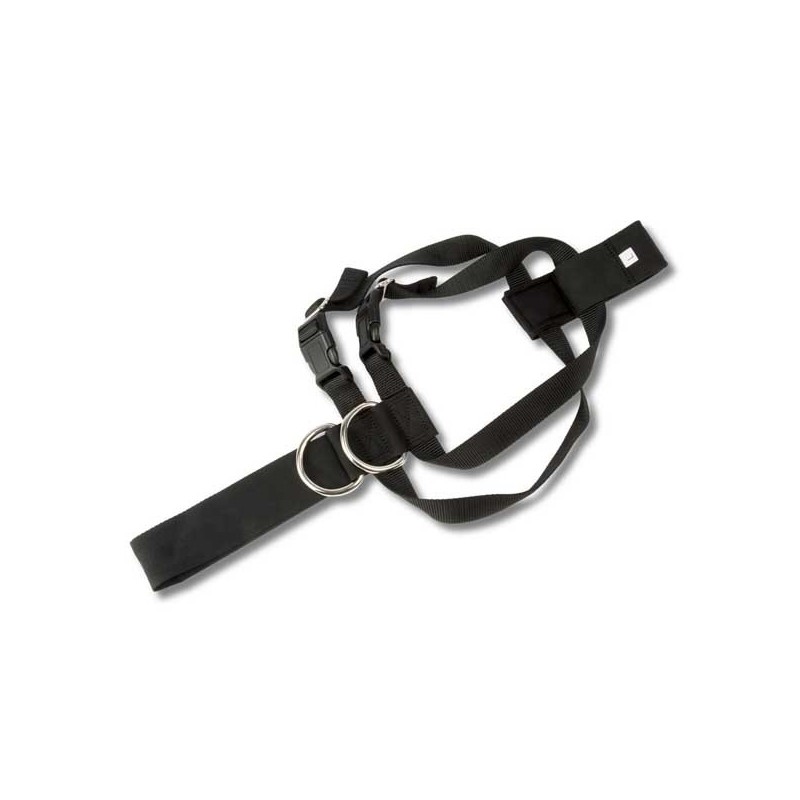 ARNES PARA PERRO TALLA L